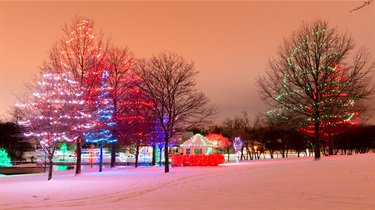 Gazebo and trees with holiday lights on snowy evening