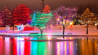 Trees with holiday lights near pond with fountain