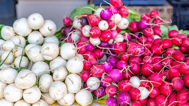 Turnips and radishes