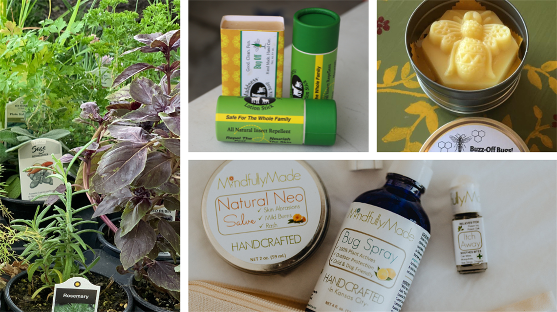 potted herbs, Bug Off soap and lotion stick, Buzz-Off lotion bar, Natural Neo salve, bug spray, Itch Away balm