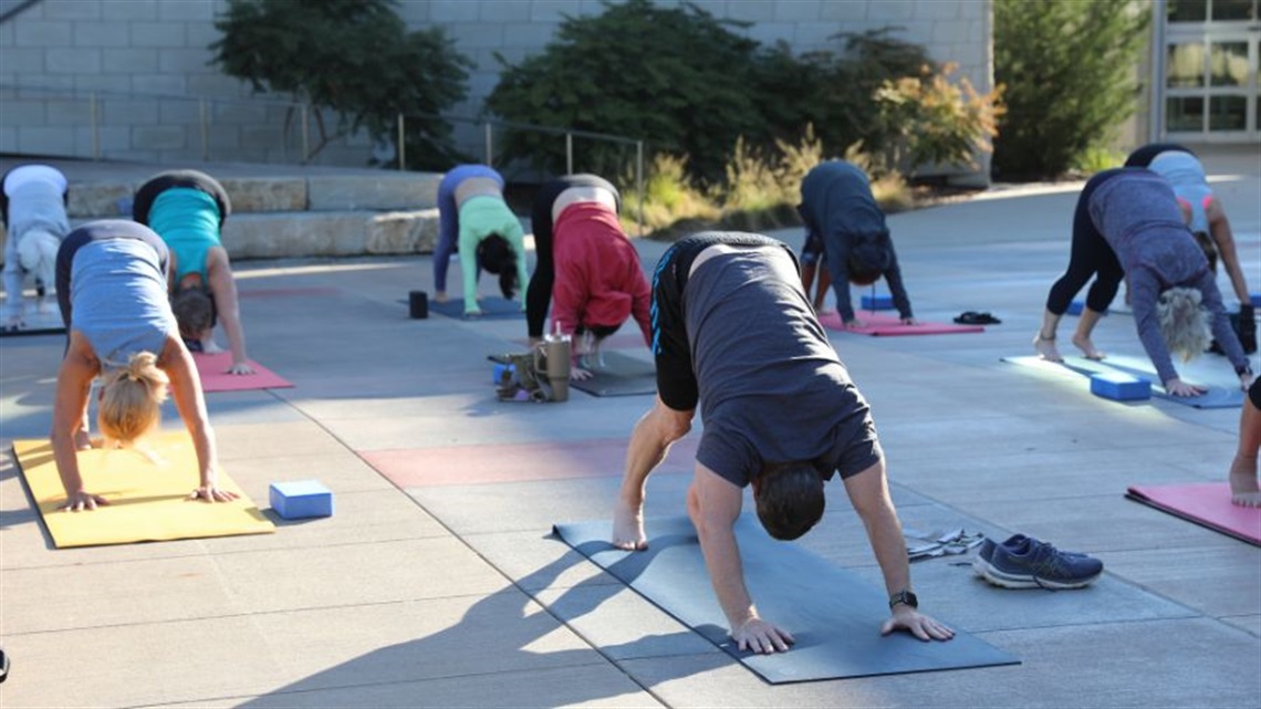 group of people doing downward facing dog yoga pose outdoors