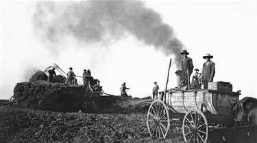 Group of men harvesting wheat with machines (circa early 1900s)