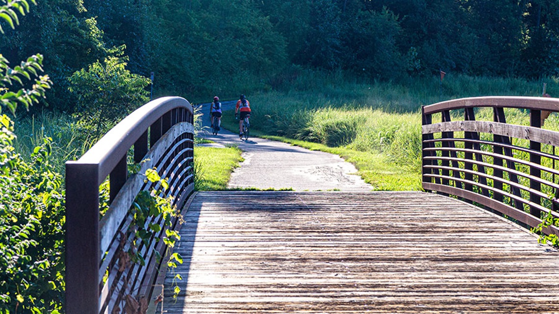 bridge leading to trail