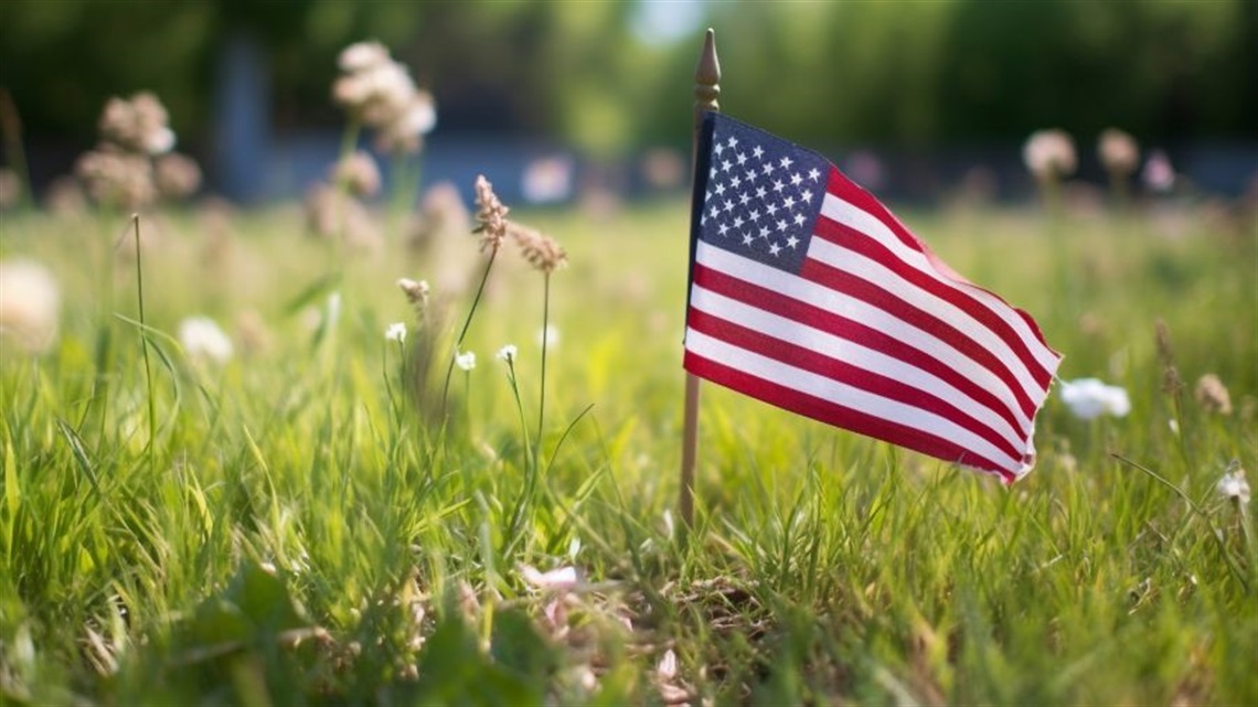 American flag in a field of grass